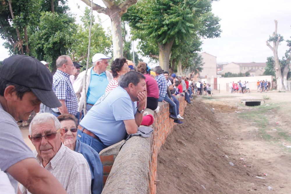 Espante infantil de Fuentesaúco