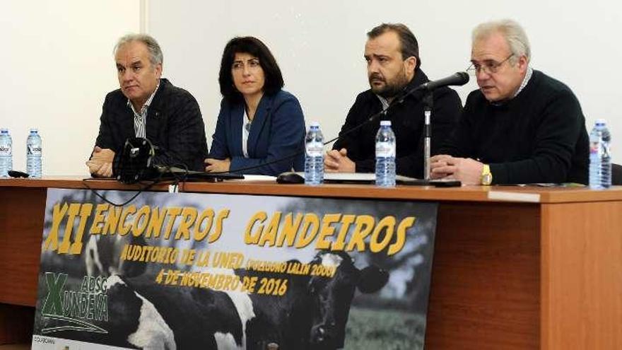 Ángeles Vázquez, en la inauguración de las jornadas. // Bernabé/J. Lalín