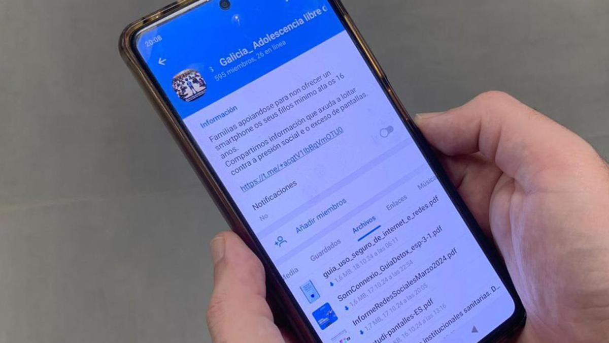 El grupo de Telegram, en la imagen, cuenta hoy día con 595 participantes.