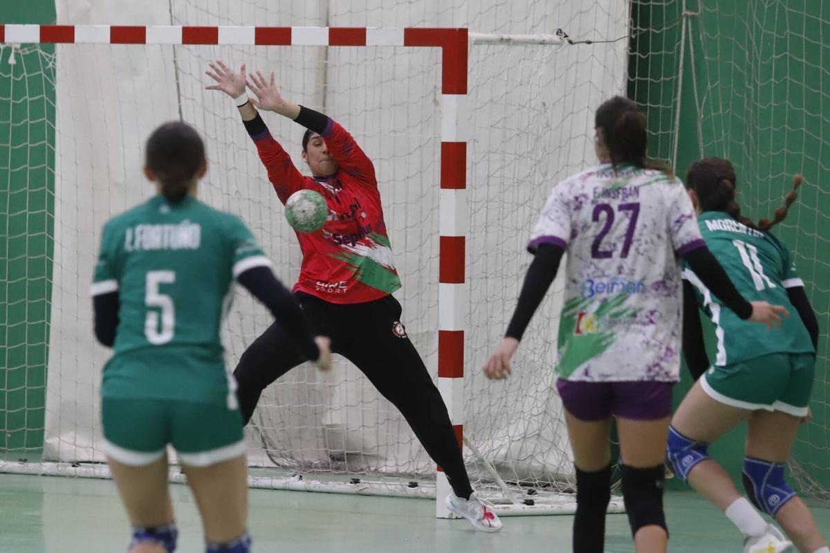 El Adesal balonmano - Anaitasuna, en imágenes