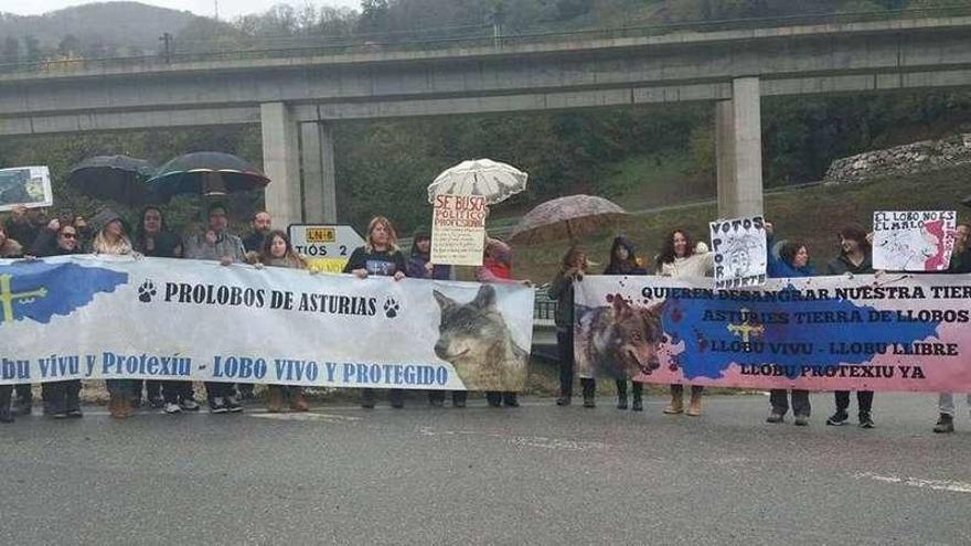 Los ecologistas asistentes a la protesta, ayer, delante de la señal donde apareció colgada la cabeza de un lobo.