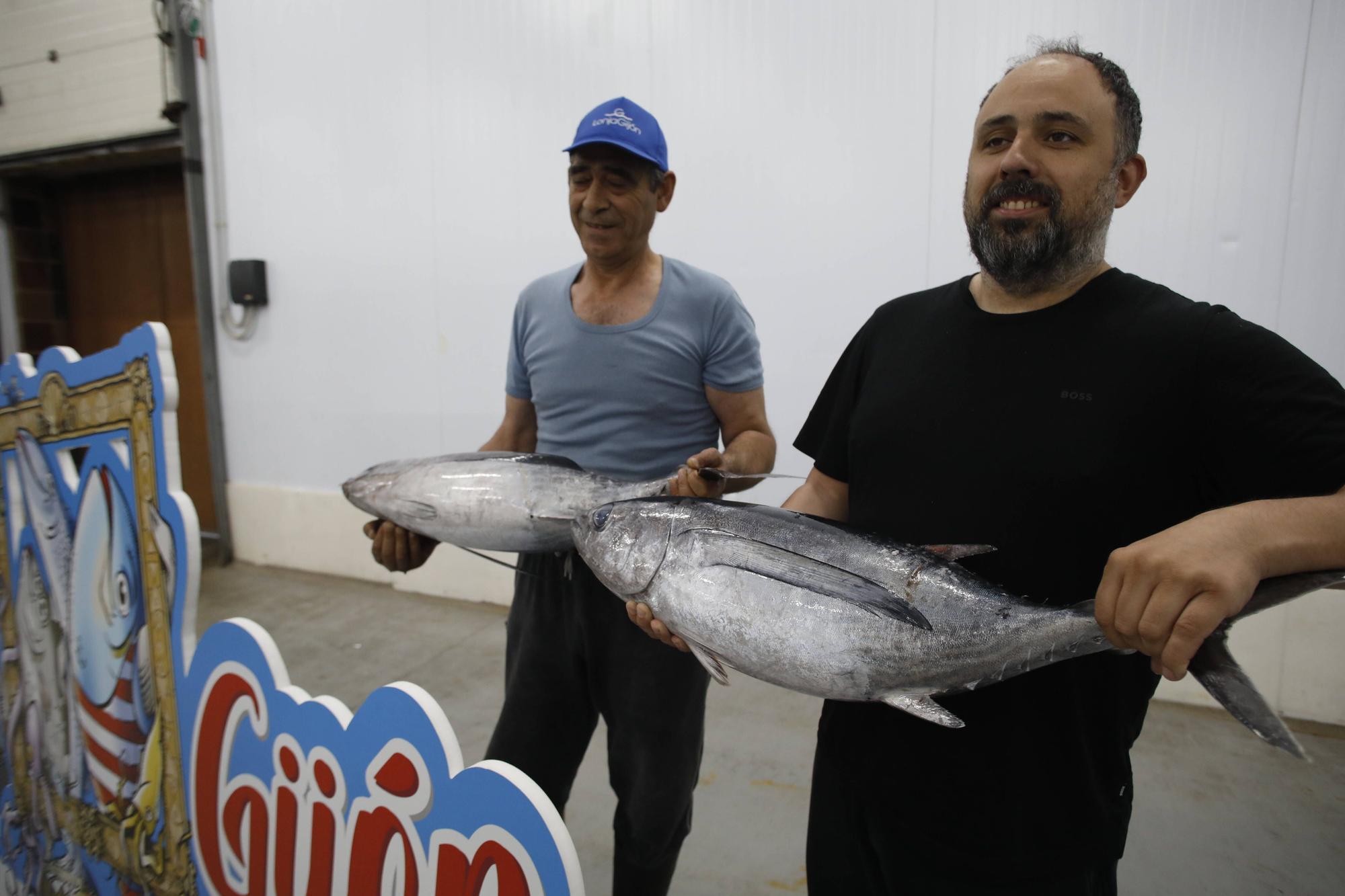 La primera descarga del bonito en la lonja de Gijón, en imágenes