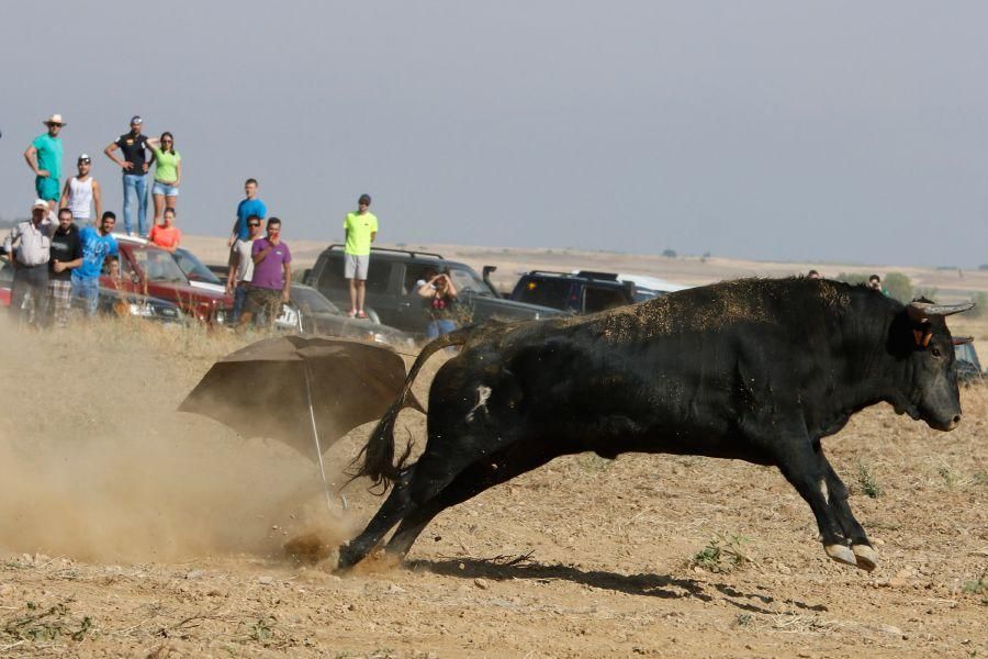 Villalpando despide los toros