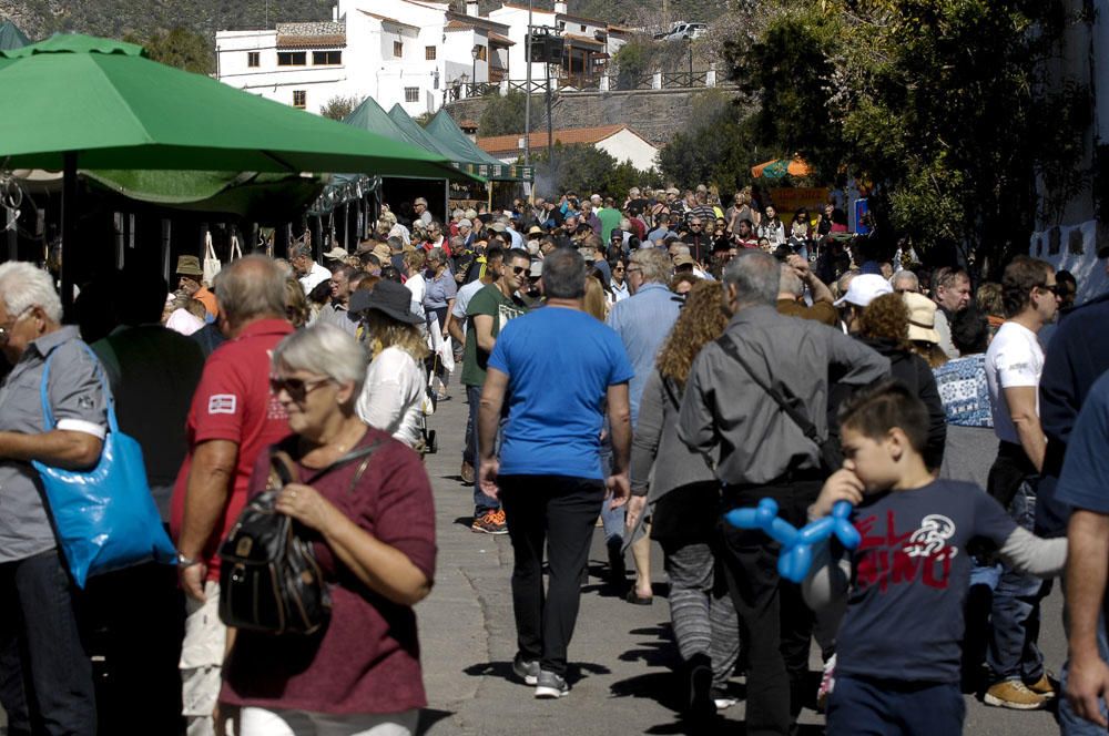 Fiestas del Almendro en Flor en Tejeda