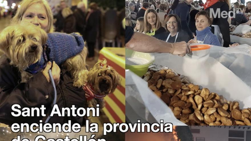 Sant Antoni enciende la provincia de Castellón