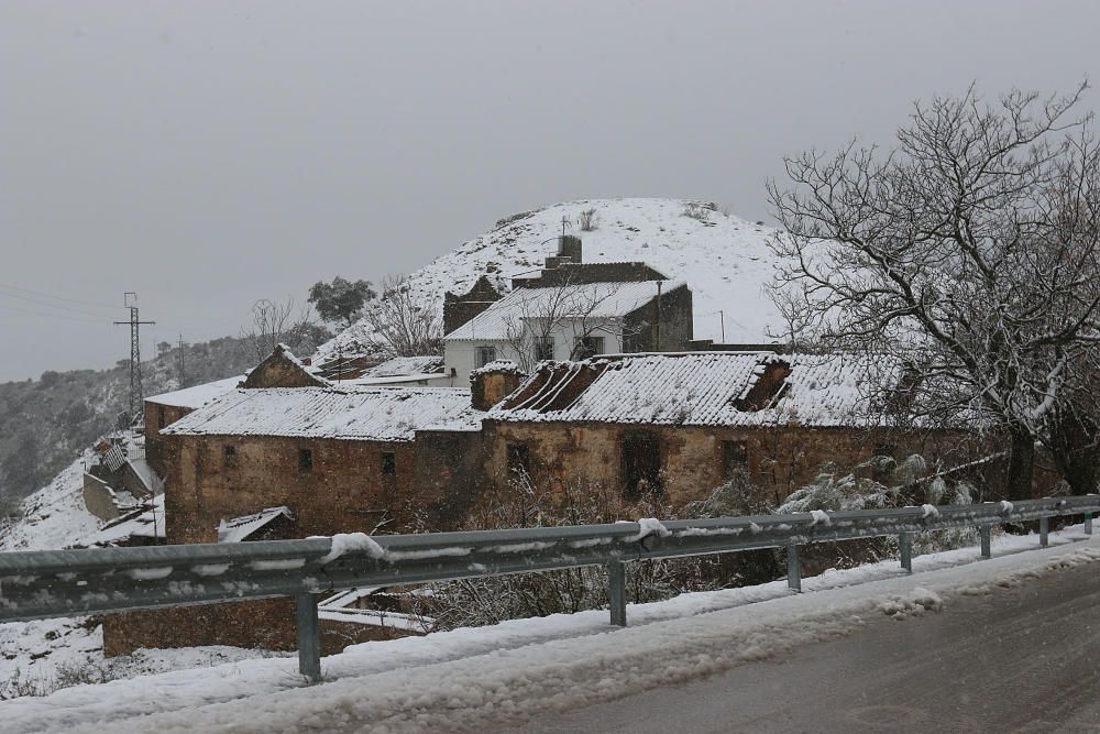 Las primeras nevadas llegan al Puerto del León, en los Montes de Málaga, que se sitúa a 900 metros de altura