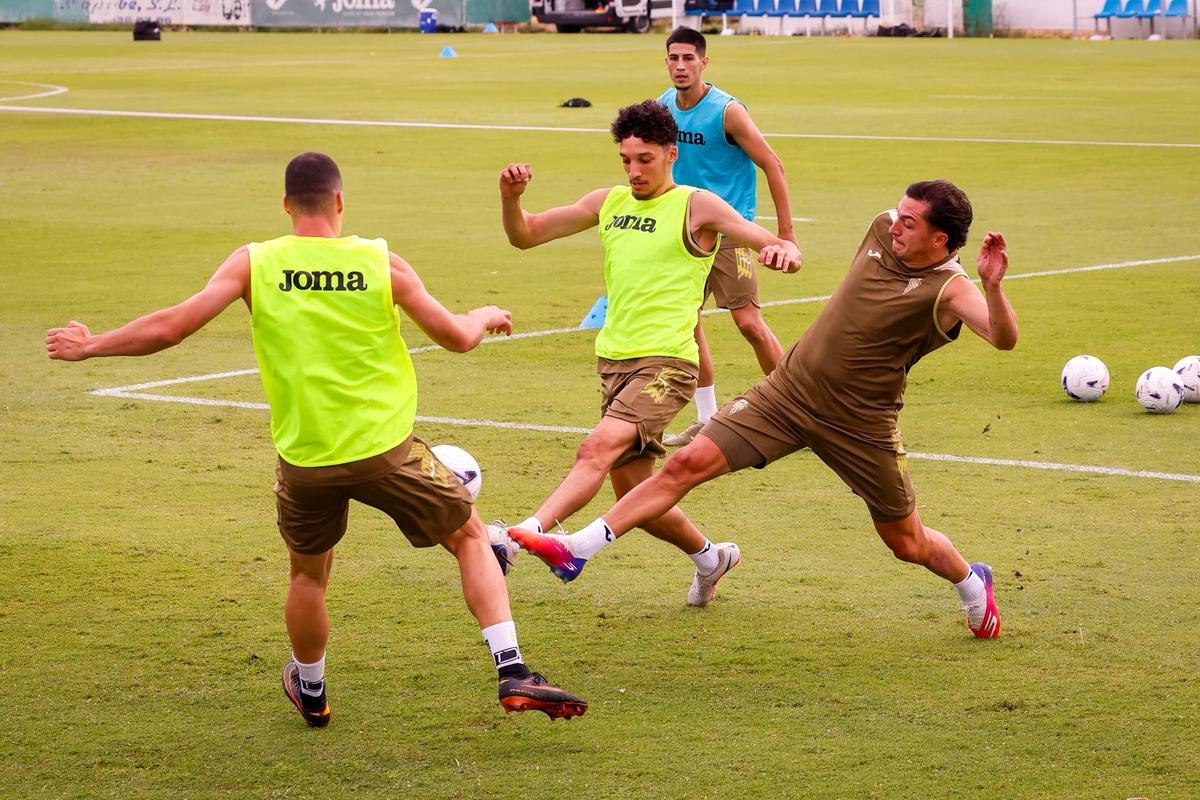 Cientos de aficionados asisten al tercer entrenamiento del Córdoba CF