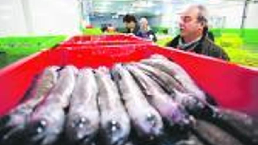 Una caja de pescado en la rula avilesina.