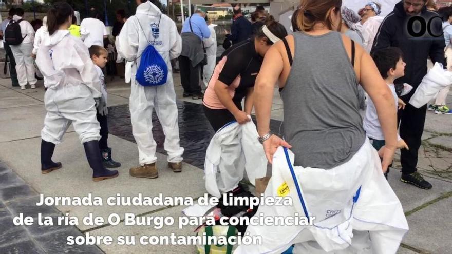 La basura de la ría de O Burgo sale a la luz