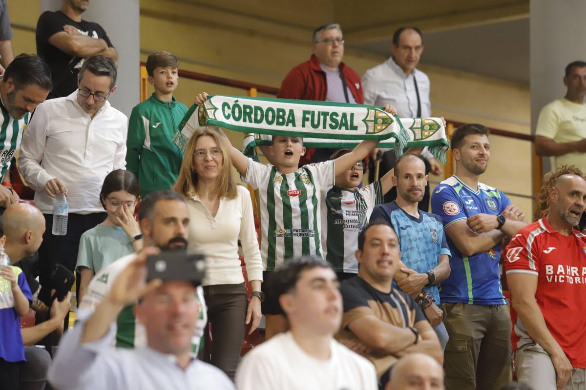 El Córdoba Futsal - Viña Albali Valdepeñas, en imágenes El Córdoba Futsal - Viña Albali Valdepeñas, en imágenes