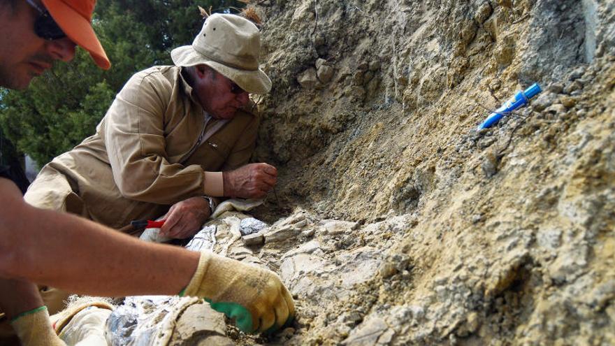 Investigadores durante una excavación.