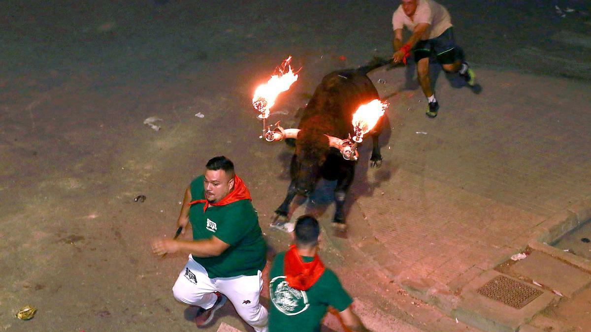 Bou embolat celebrado en Puçol el pasado miércoles