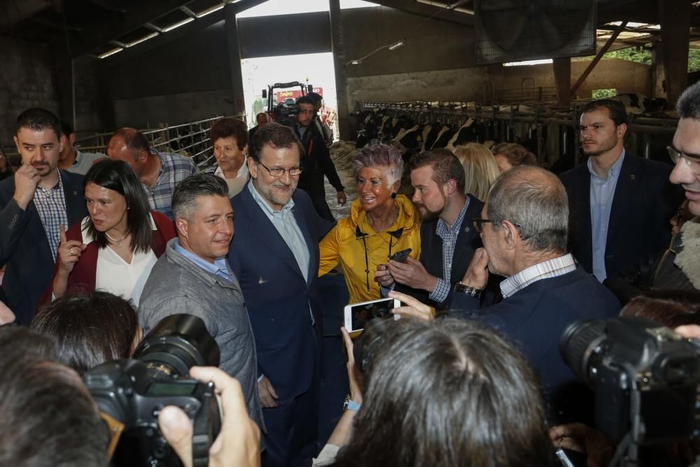 Visita de Mariano Rajoy a una ganadería en Gozón (Asturias)