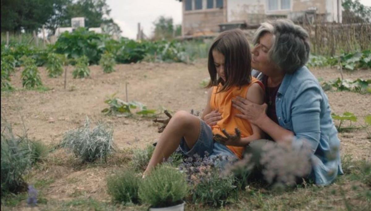 Una competición con dos claras favoritas: entre abejas y rancheros