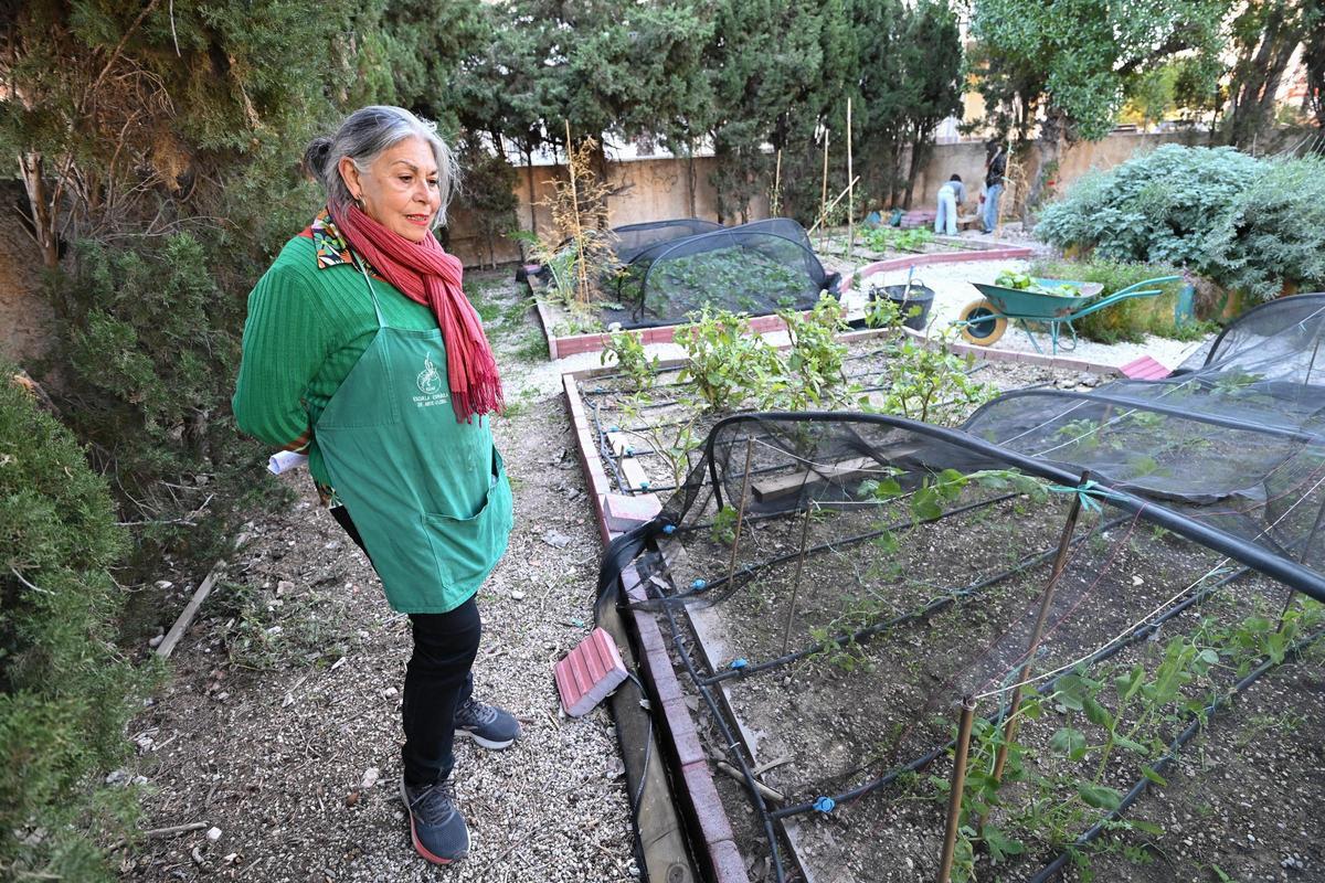 I Feria de Entidades en el Solar Comunitario del barrio Virgen del Remedio