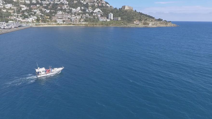 L&#039;Estat marca el golf de Roses com l&#039;únic punt de Catalunya apta per als parcs eòlics marins