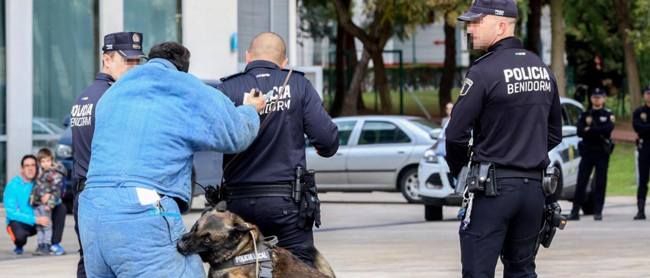 Benidorm recurre a policías de otros pueblos para cubrir vacantes antes de la temporada alta