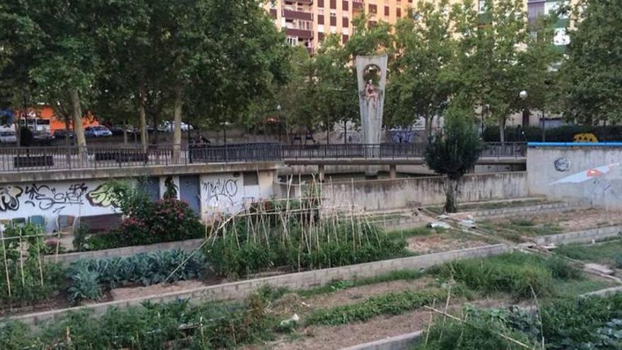 El PP denuncia el abandono de las zonas verdes del barrio de San José