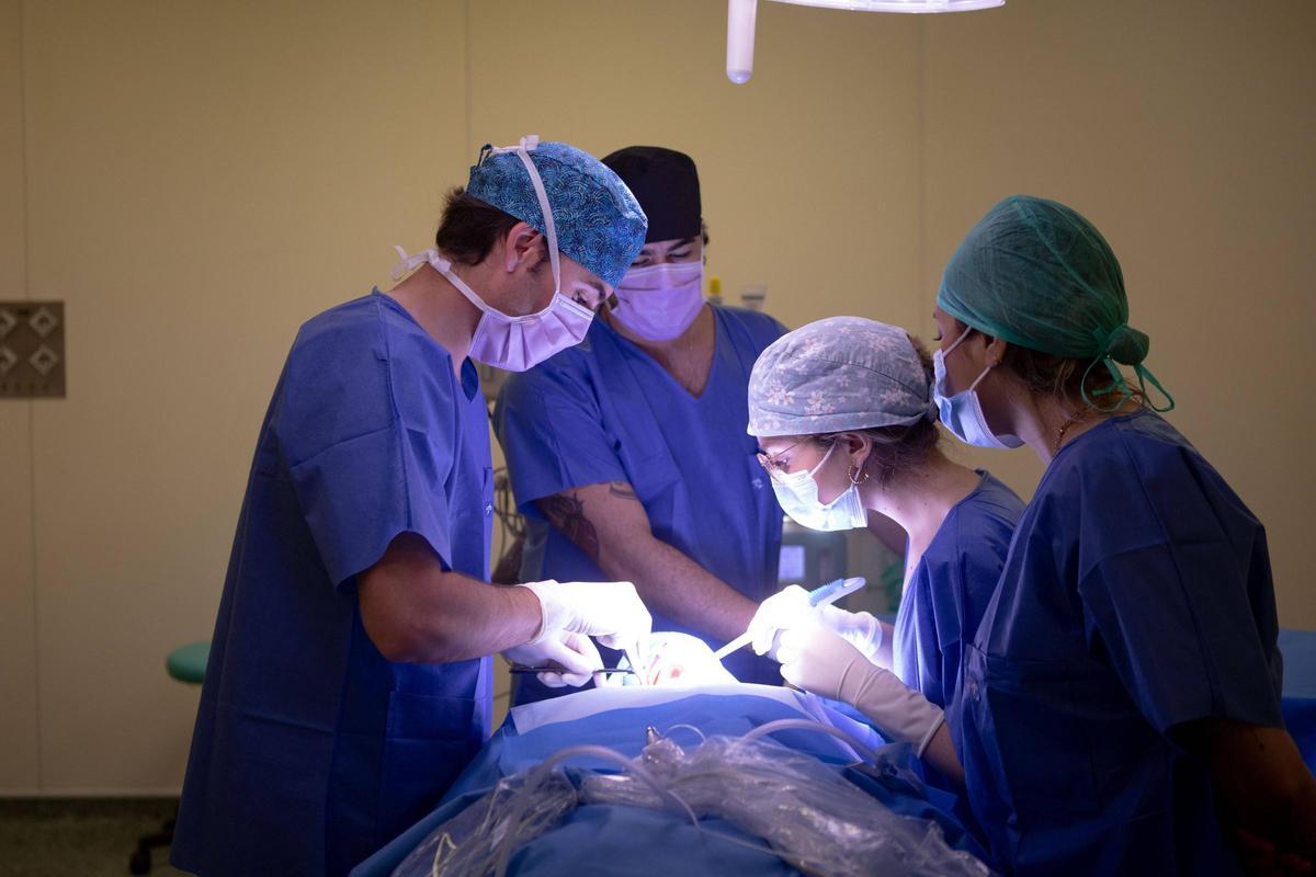 El equipo de la Unidad Dental de Vithas Valencia 9 de Octubre realiza una intervención.