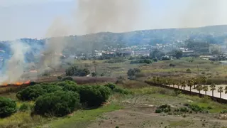 Declarado un incendio en el Saladar de Xàbia, junto a la playa del Arenal