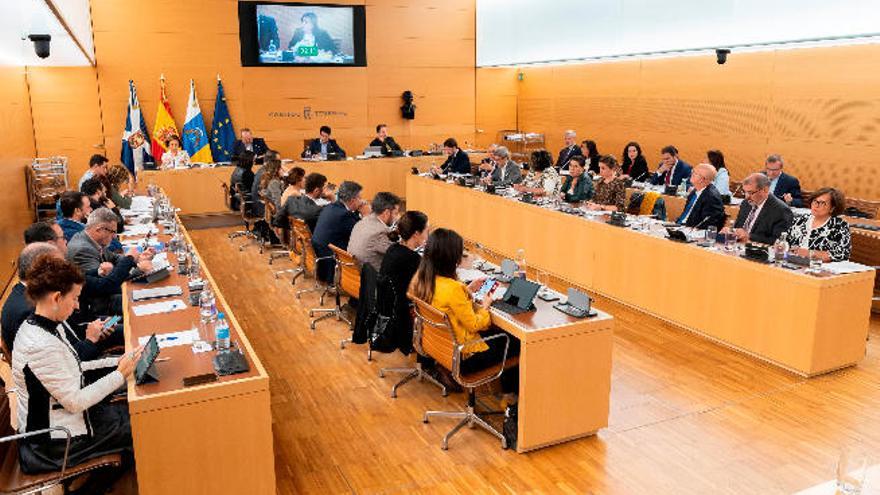 Miembros del pleno del Cabildo de Tenerife.