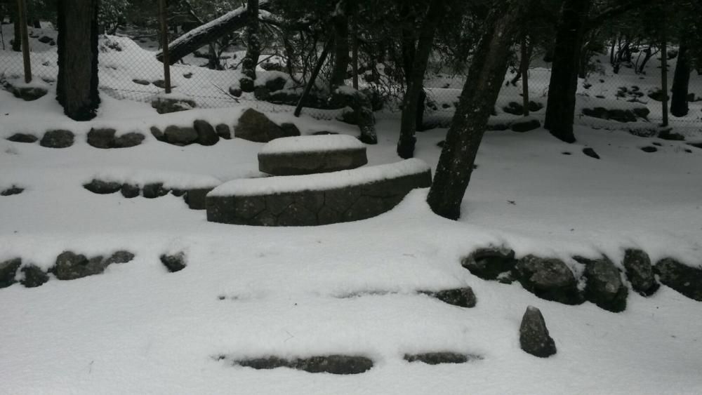 Mallorca, en riesgo importante por nevadas este sábado