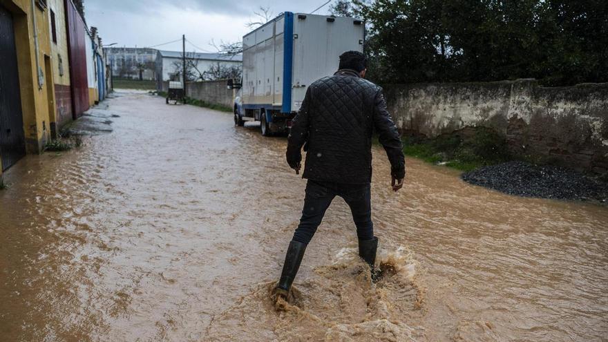 El clima, la culpa y el verdín