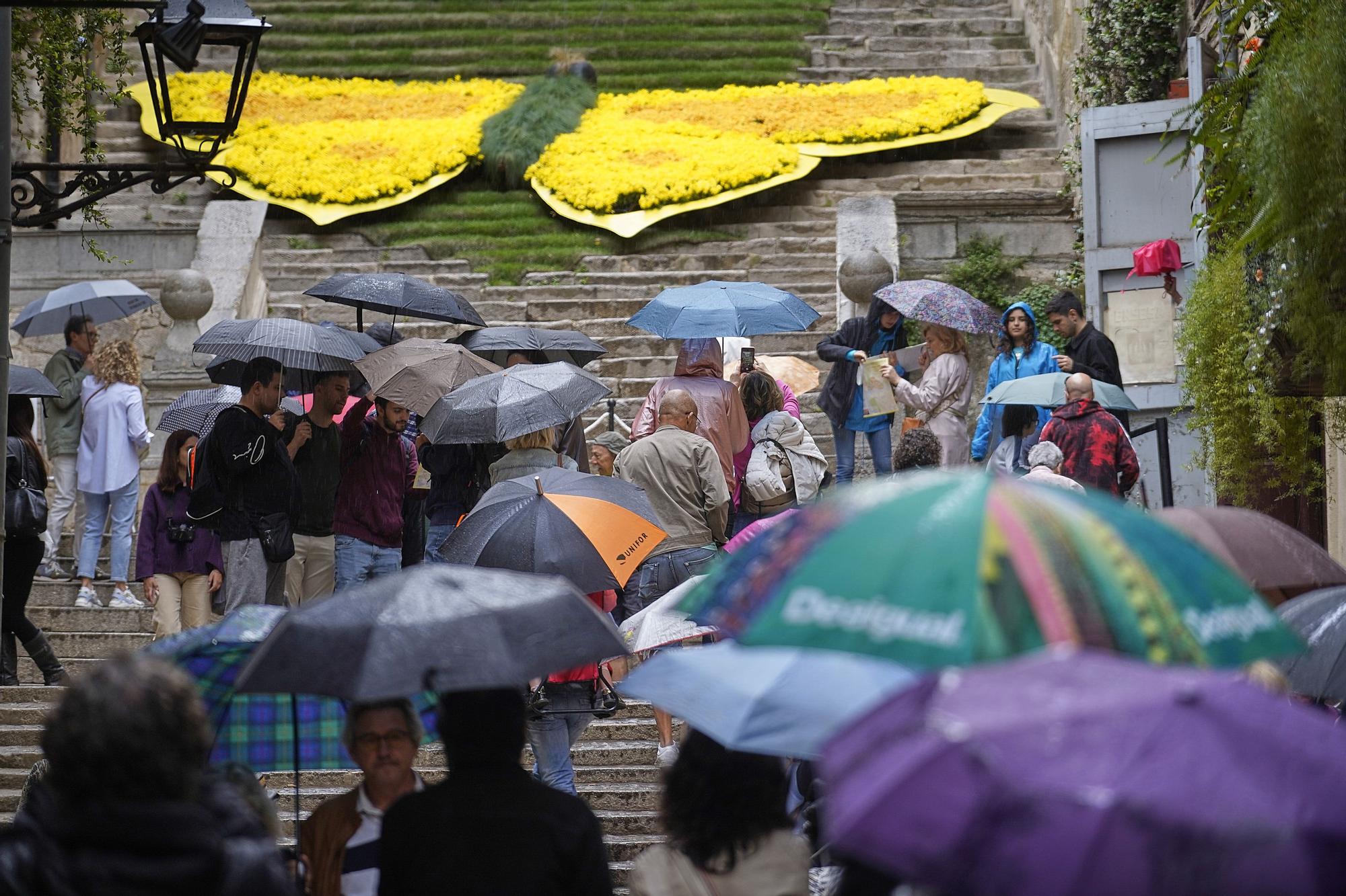 L'últim dia de Temps de Flors en imatges