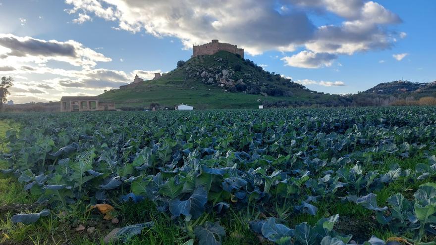 Los agricultores celebran el giro positivo de las previsiones del sector del regadío