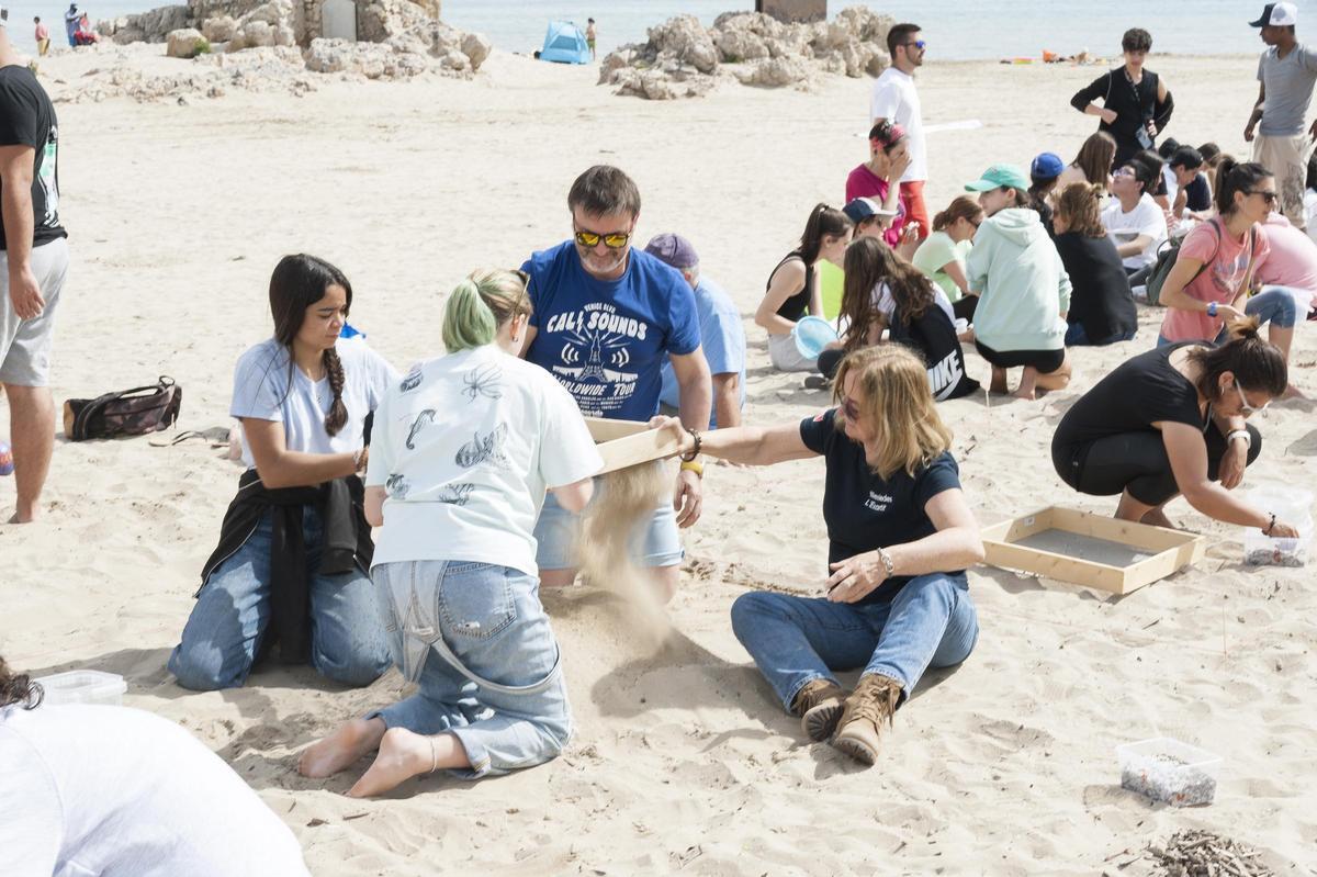 Voluntarios limpian la playa de pélets, en Vila-seca, el pasado mes de abril.