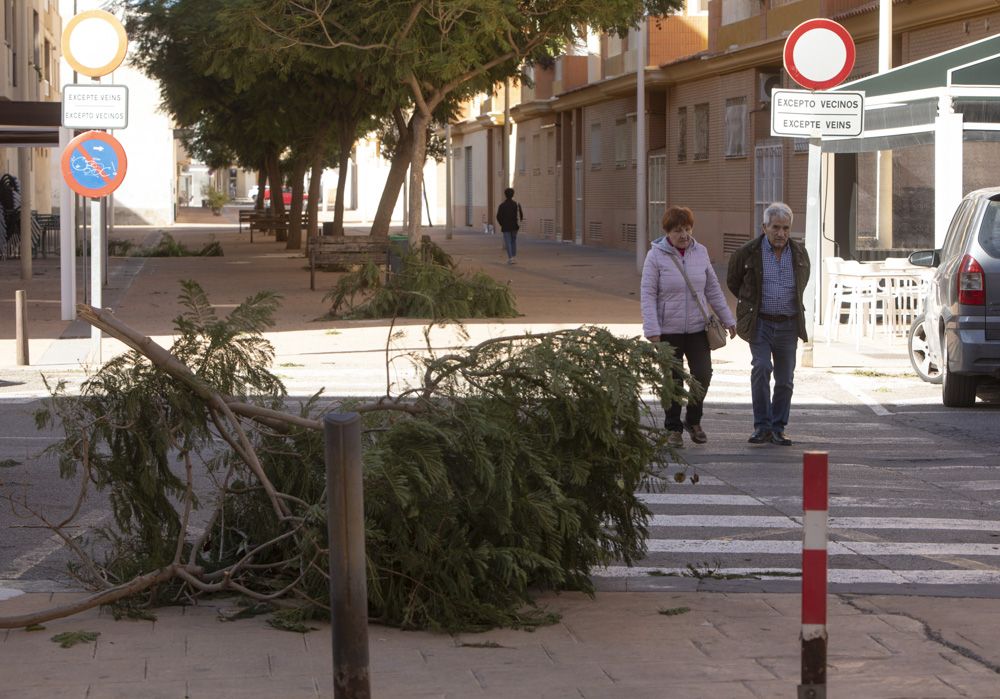 El viento azota el Camp de Morvedre