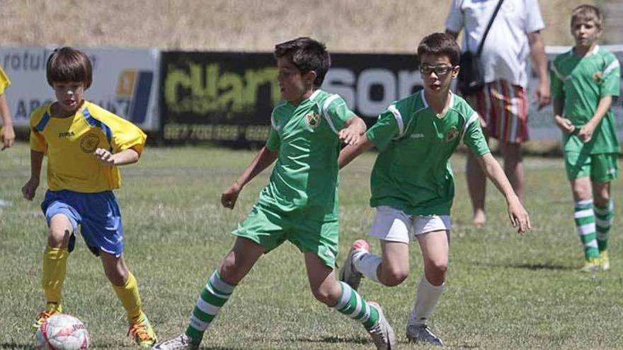 Listos para jugarse Judex, 3, Primera Regional y fútbol sala