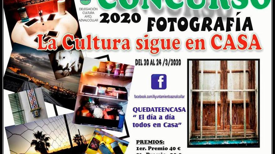 La cultura sigue en casa