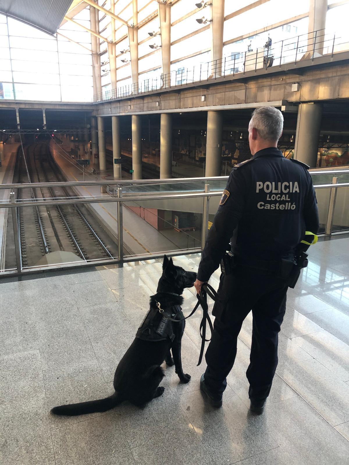 Vigilancia en la estación de trenes de Castelló.