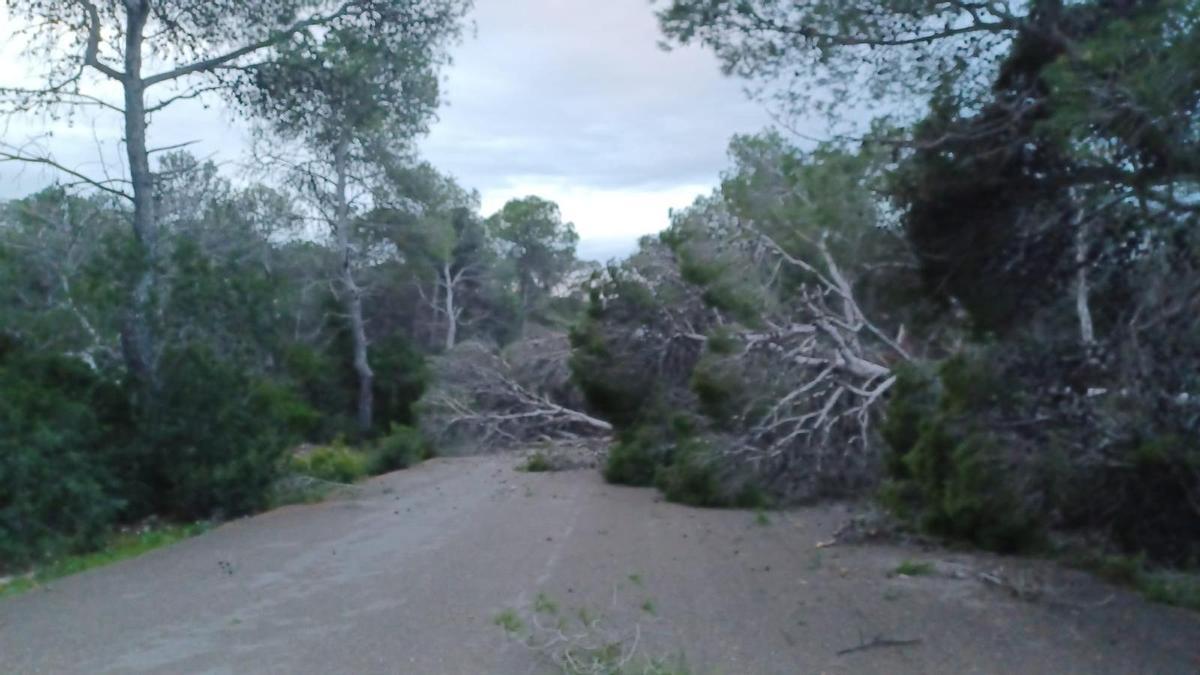 La Policía Local de Sant Antoni atiende cerca de 40 incidencias por el temporal Ingrid