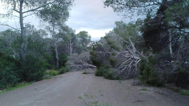 La Policía Local de Sant Antoni atiende cerca de 40 incidencias por el temporal Ingrid