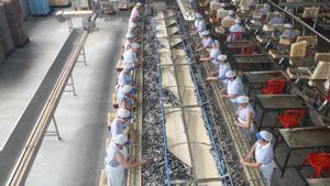 Mujeres trabajan en la planta de Cerdeimar en Camariñas