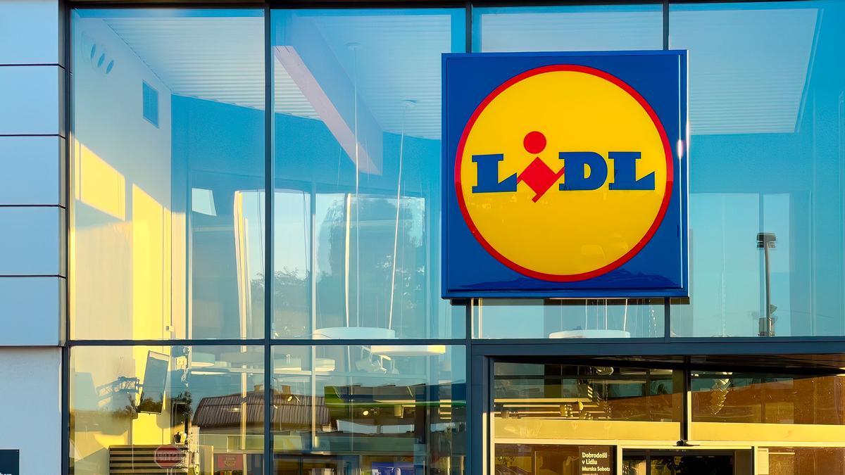 Mañana se esperan colas kilométricas en Lidl para conseguir el taladro de columna más barato del mercado: precisión y cinco velocidades de perforación