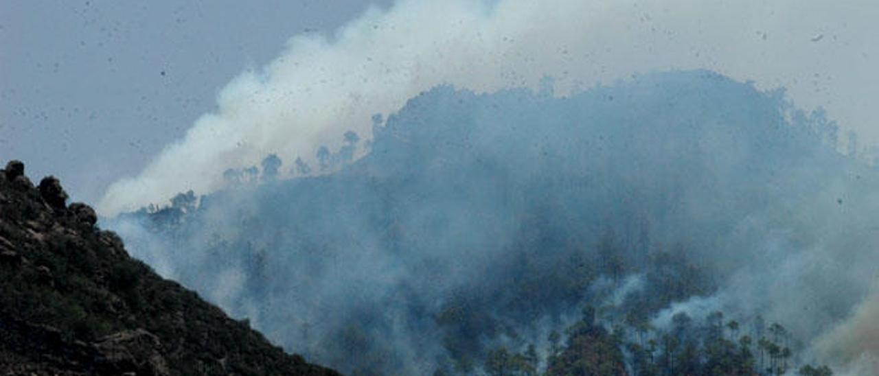 Imagen del incendio que arrasó la cumbre y las medianías de Gran Canaria en 2007