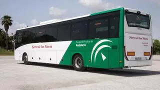 Autobús entre Almogía y la playa de Torremolinos: fechas y horarios