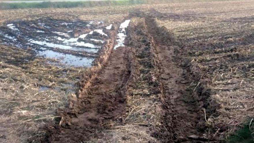 Camp afectat per l&#039;excés de pluges de les darreres setmanes