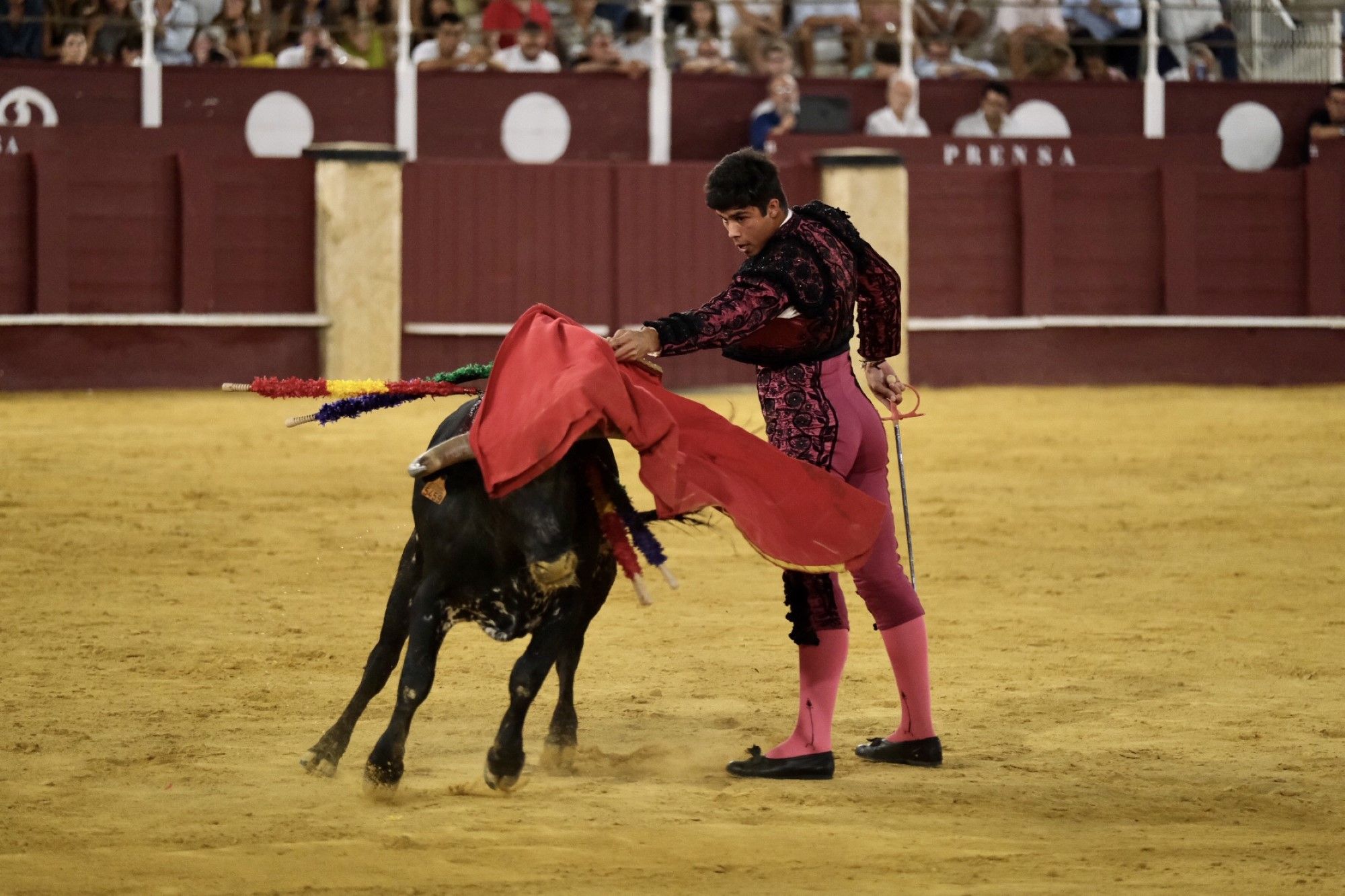 Las imágenes de la segunda semifinal del XV Certamen Internacional de Escuelas Taurinas