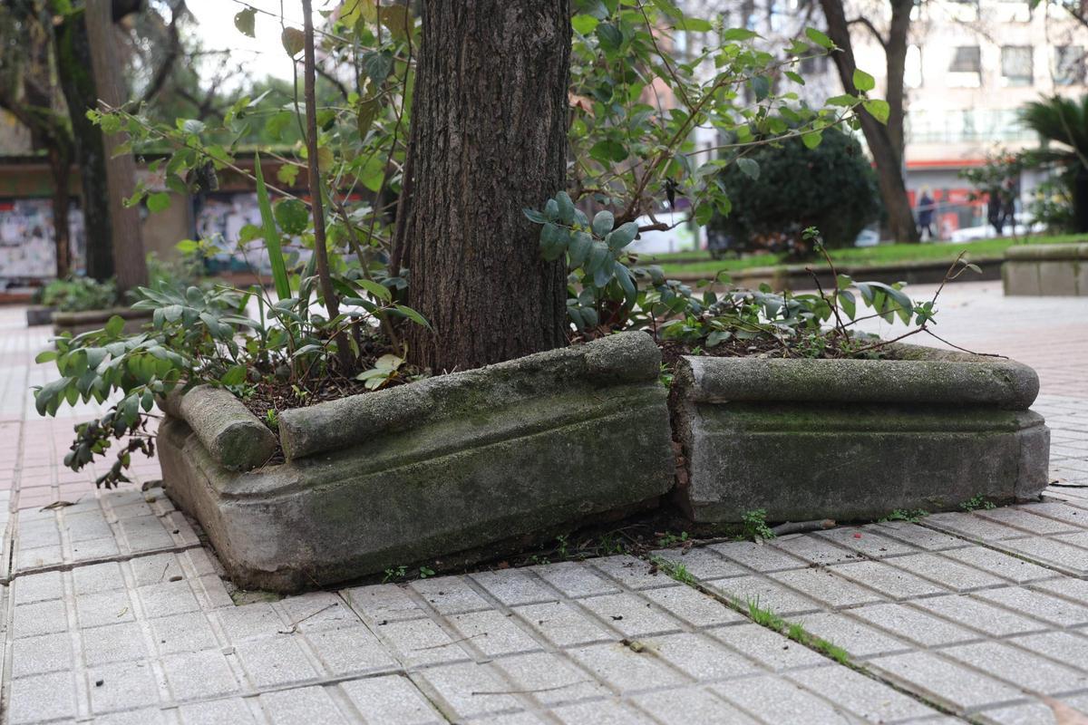 FOTOGALERÍA | La esperada reforma del Paseo de Cánovas de Cáceres, más cerca