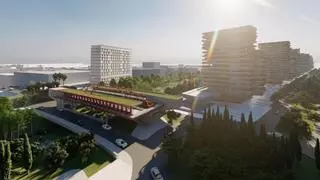 El Parque Central de Alicante, esa fina línea entre la ilusión y la decepción