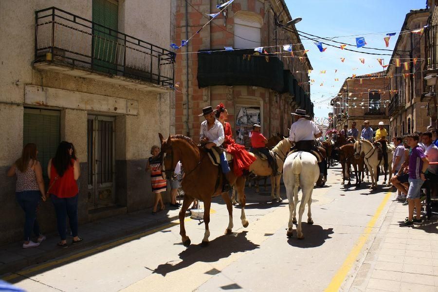 Feria del caballo en Fuentesaúco