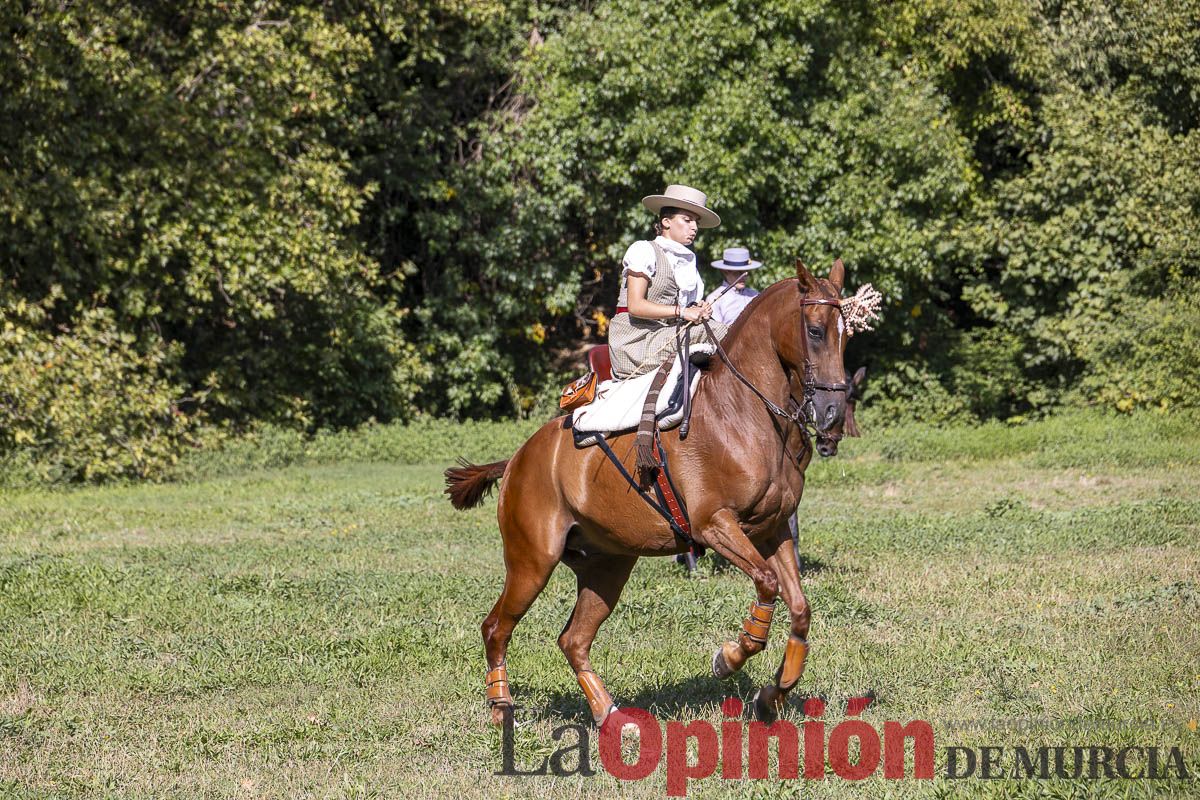 Romería de los Caballos del Vino de Caravaca, en imágenes