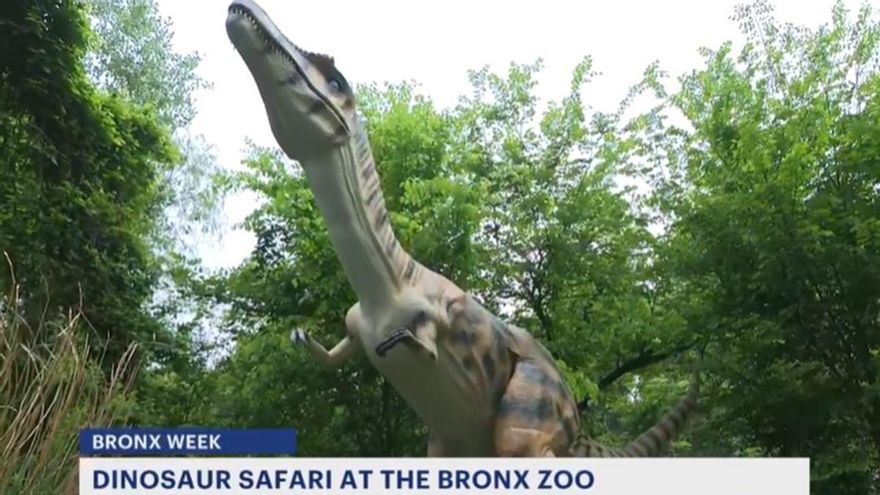 Foto del dinosaurio animatrónico 'Protathlitis cinctorrensis' en el zoo del Bronx.