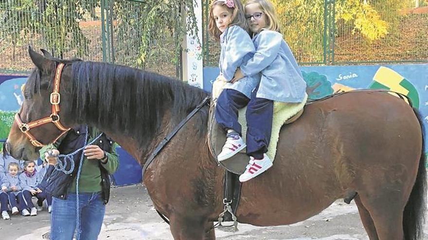 El col·legi Puértolas Pardo rep la visita d’un cavall