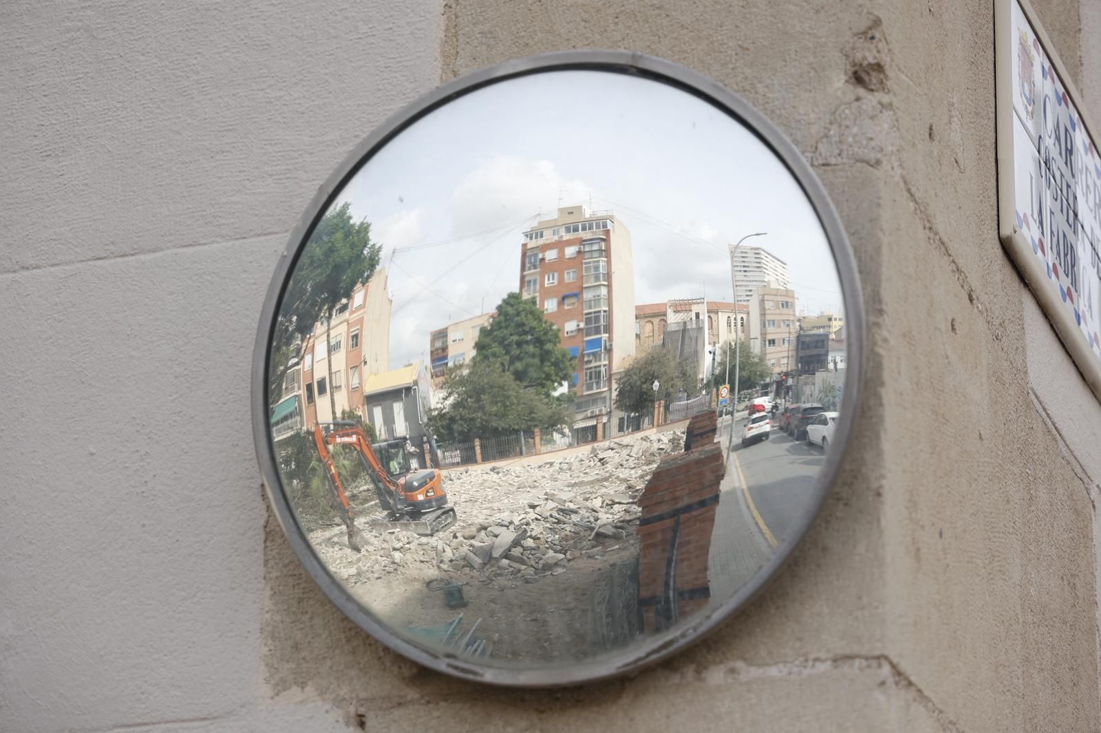 Una nueva tala de árboles en Alicante desata la polémica