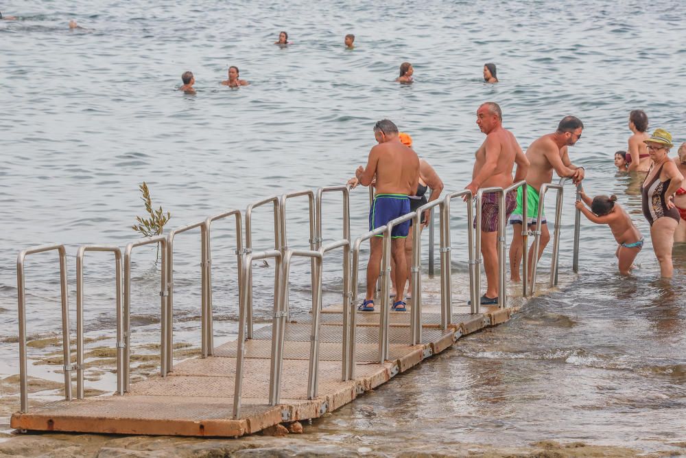 Baño para todos en Torrevieja